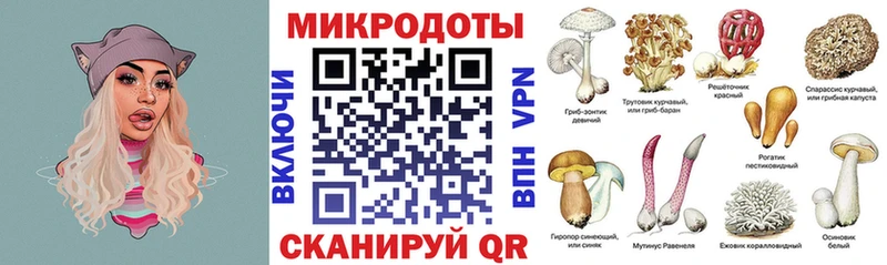 Псилоцибиновые грибы мицелий  сайты даркнета официальный сайт  Железногорск-Илимский 